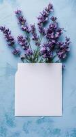 Lavender sprigs and blank envelope arranged on a blue background photo