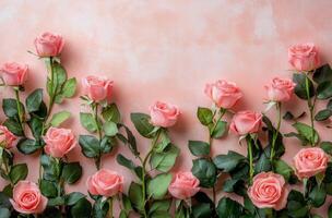 Beautiful pink roses arranged with green leaves on a soft pink background for decoration photo