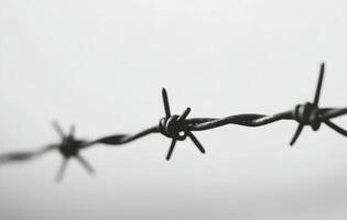 Close up view of barbed wire against a blurred background highlighting boundaries and barriers photo