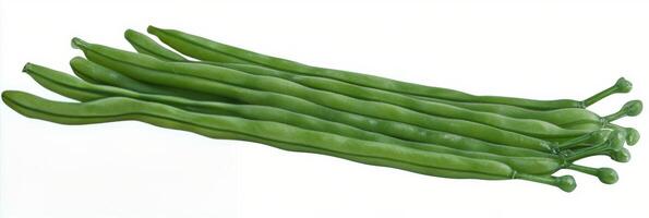 Fresh green beans arranged neatly on a white surface for cooking or presentation photo