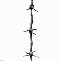 Barbed wire against a plain background highlighting strength and resilience in isolation photo