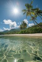 Bright sunlight illuminates a serene tropical beach with clear water and palm trees photo