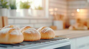 Freshly baked bread rolls cooling on a rack in a warm kitchen during the morning light photo