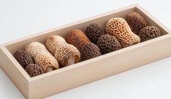 Freshly harvested morel mushrooms in a wooden box on a light surface photo