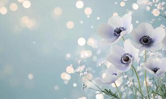 Beautiful anemone flowers bloom with soft colors in a dreamy setting during springtime photo