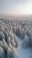 Winter landscape of a snow covered forest captured from above during a cloudy day photo