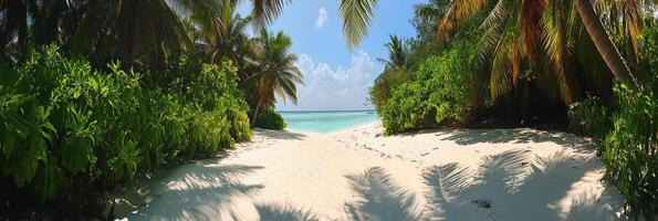Tropical island resort with sandy beach and crystal clear water during sunny day photo