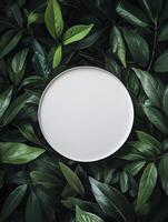 Circular blank space surrounded by fresh green leaves on a light background in a creative setting photo