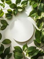 Circular blank space surrounded by fresh green leaves on a light background in a creative setting photo