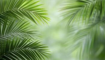 Lush green palm leaves swaying gently in a tropical forest setting during daylight hours photo