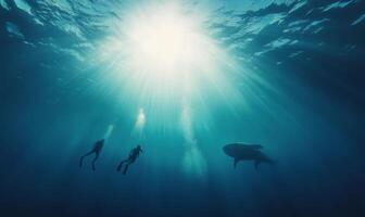 Sharks swimming gracefully in deep blue ocean waters during calm daylight hours photo