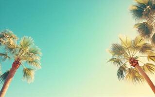 Palm trees swaying under a bright blue sky in a sunny tropical location photo