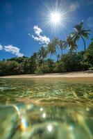 Bright sunlight illuminates a serene tropical beach with clear water and palm trees photo