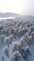 Snow covered trees blanket a serene landscape in winter with a soft glow photo