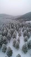 Winter landscape of a snow covered forest captured from above during a cloudy day photo