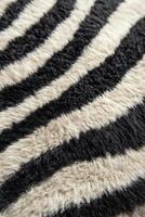 Soft texture of a black and white striped rug displayed in a modern living room setting photo