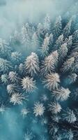 Winter landscape of a snow covered forest captured from above during a cloudy day photo