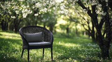 Quiet garden chair surrounded by blooming flowers and lush greenery in sunlight photo