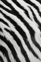 Soft texture of a black and white striped rug displayed in a modern living room setting photo