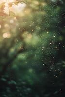 Sunlight filtering through trees reveals sparkling dust particles in a serene forest setting photo