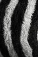 Soft texture of a black and white striped rug displayed in a modern living room setting photo
