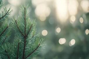 Winter wonderland with snowflakes falling on evergreen branches in a serene atmosphere photo