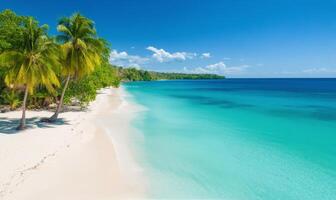 Beautiful tropical beach with clear water and palm trees along the shore in the daytime photo