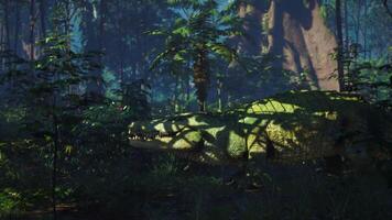 Crocodile resting among lush vegetation in a dense jungle environment video
