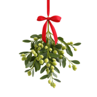 Festive holiday mistletoe sprig tied with elegant red bow isolated png