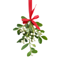 Lifelike mistletoe sprig featuring delicate white berries and cheerful red bow png