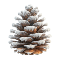 Authentic Pine Cone with Winter Frost Effect Isolated on Transparent Background png