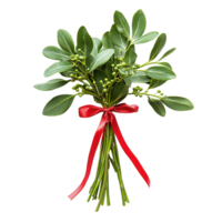 Charming holiday mistletoe bouquet tied with ribbon isolated on transparent background png