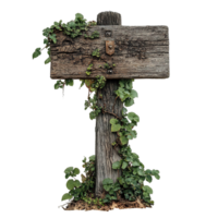 Old Wooden Directional Sign with Climbing Ivy Isolated on Transparent Background png