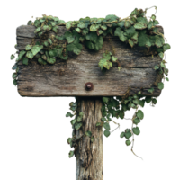 Rustic Signpost in the Wilderness Covered in Ivy Isolated on Transparent Background png