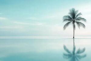 Serene palm tree reflecting in tranquil waters under a clear sky at dawn photo