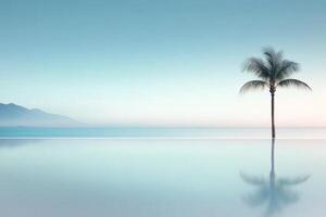 Serene palm tree reflecting in tranquil waters under a clear sky at dawn photo