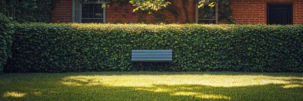 A serene garden with lush green grass and well trimmed hedges in the afternoon sunlight photo