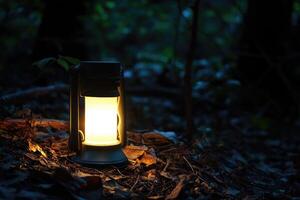 Illuminated Lantern in a Dark Forest Setting photo