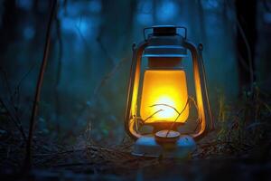 A Lantern Glowing in the Dark Forest photo