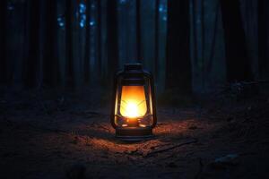 A Single Lantern Illuminates a Dark Forest Path photo