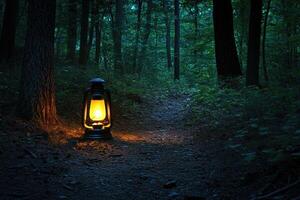 Illuminated Path Through a Dark Forest with a Lantern photo