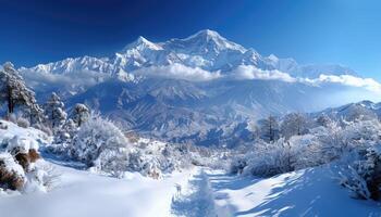 Snowy Mountain Range with Path and Trees photo