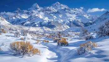 Snow-Covered Mountain Range with a Valley Below photo