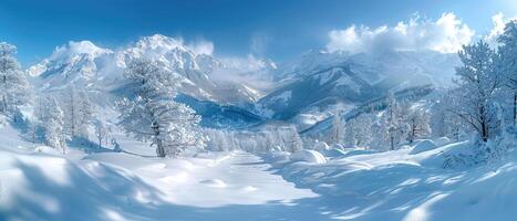 Snow-Covered Mountain Landscape with Frosty Trees photo