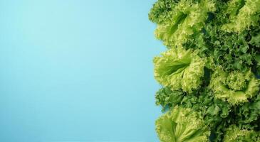 Fresh green lettuce leaves arranged artistically against a light blue background in a kitchen setup photo
