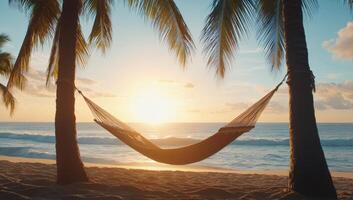 Relaxing hammock swaying between palm trees by the beach during a stunning sunset photo