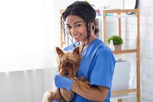 Smiling female vet doc conducting medical examination of little Yorkshire terrier in light clinic, empty space photo