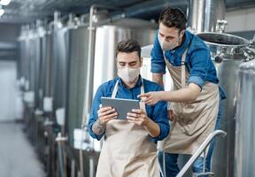 Brewery workers enter data at tablet and operate equipment. Young guys in protective masks and aprons discuss and work with craft beer tanks in interior of factory during COVID-19 epidemic, free space photo