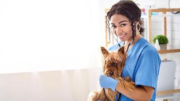 Smiling black woman vet doc conducting medical examination of little Yorkshire terrier in light clinic, empty space photo