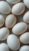 A collection of white eggs arranged neatly on a light background during daylight hours photo